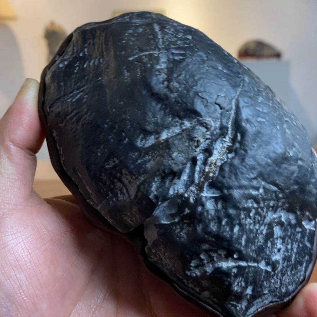 水***猫hfhdhfhhfhfhfhfbh