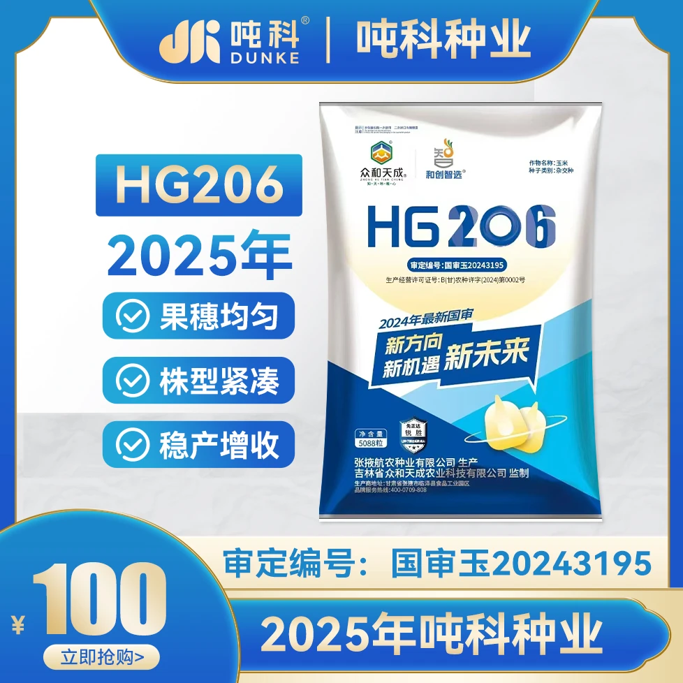 高产HG206玉米种子