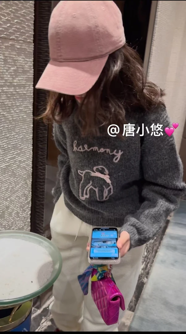 唐小悠 童装定制款 上新2024小悠同款 洋气灰配粉刺绣毛衣
