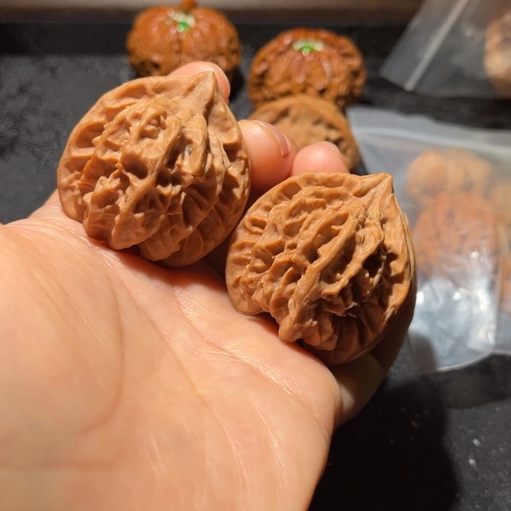 龙脊菩提吊坠曹大龙