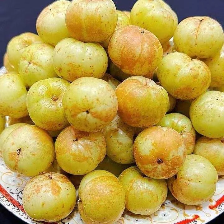 甜油甘余油甘滇橄榄油柑潮汕油甘柿饼油甘榨汁腌制泡酒生吃