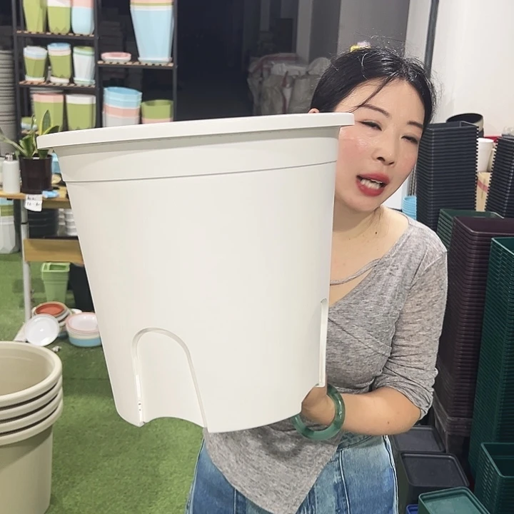 圆控口38高34白色5只无托