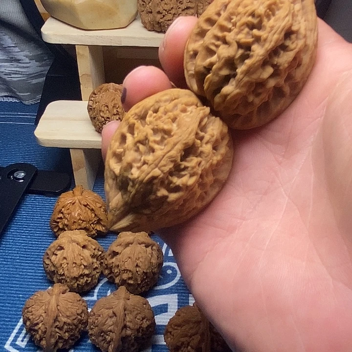 把件文玩核桃40尺大沽石