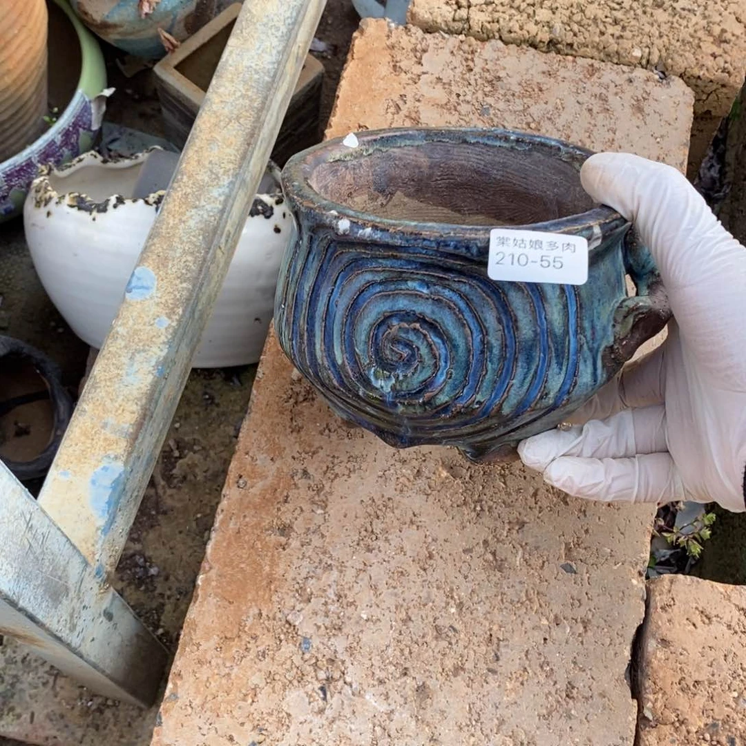 小*55号多肉盆一个呀