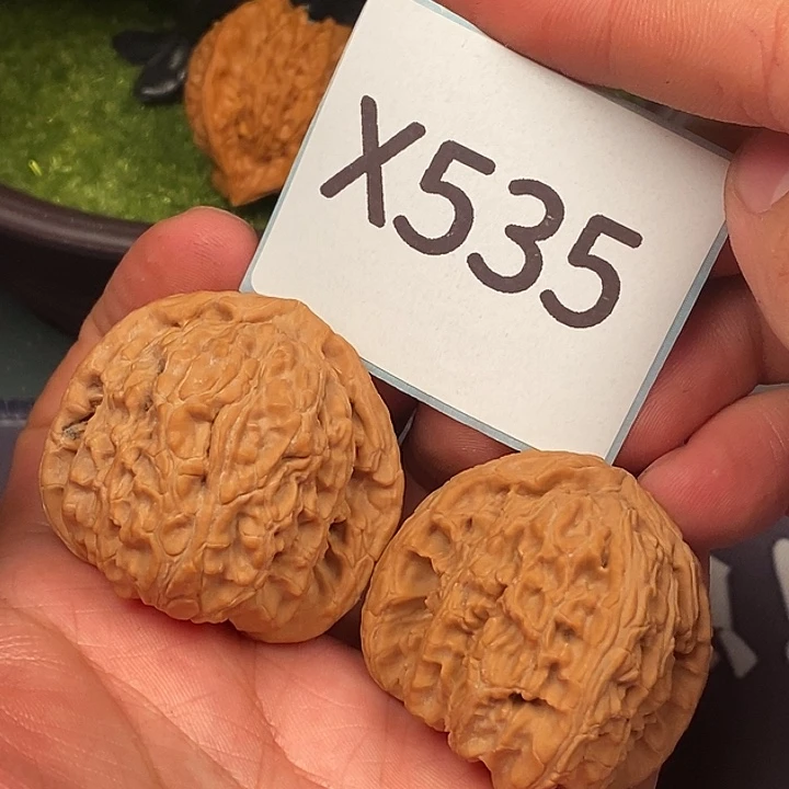 文玩核桃把件白狮4150535