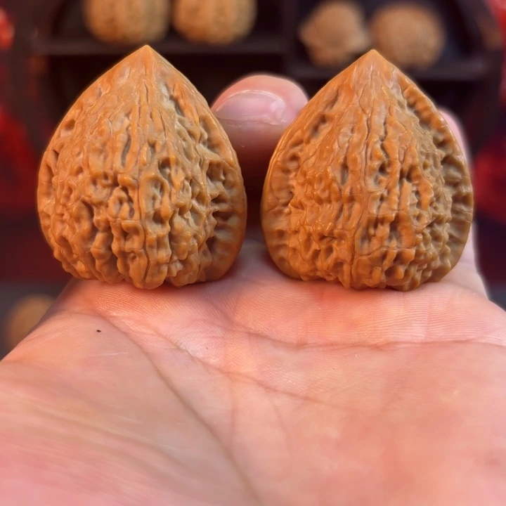 蛇王一抹红37尺有修