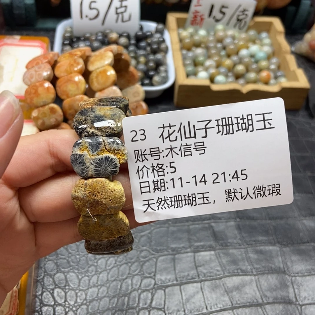 木***号硅化珊瑚（珊瑚玉）未镶嵌珠宝半成品23