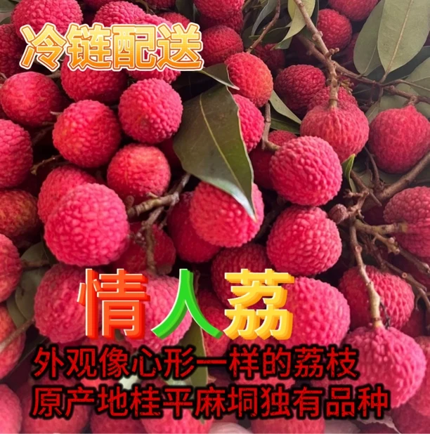 【冷链配送】广西独有品种情人荔外观心形现摘现发自家果园老树荔枝