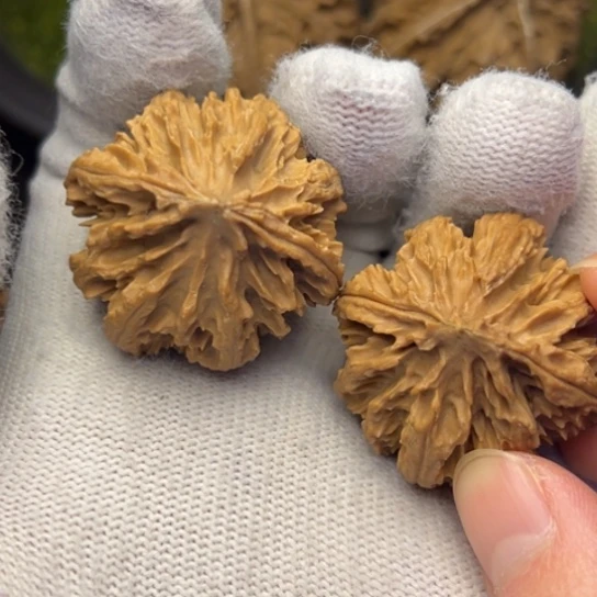 文玩核桃把件秦岭核桃16