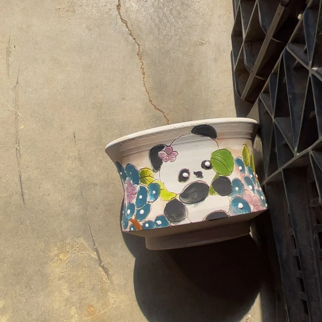 琼花盆两个多肉花盆