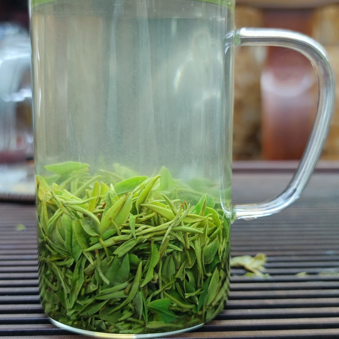 信阳毛尖2025明前野山茶 香气高扬口感鲜爽回甘迅速持久