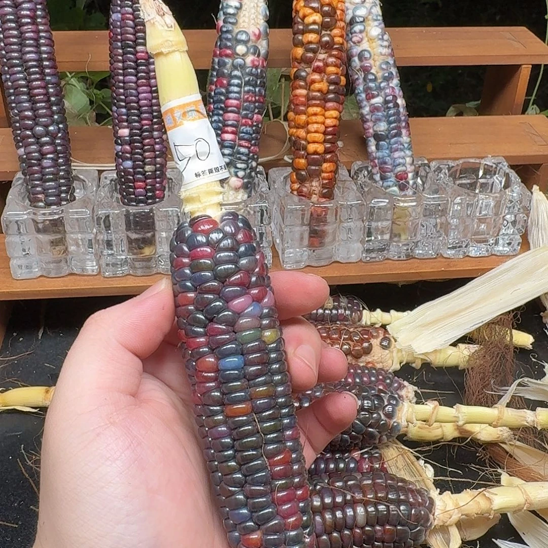 恭***财柏香籽/百香籽吊坠