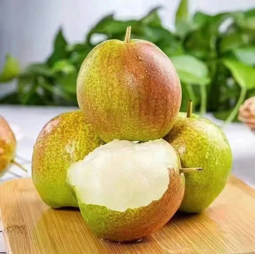 【老粉回购】自家果园现摘现发今年头茬新果礼盒包装脆甜多汁皮薄