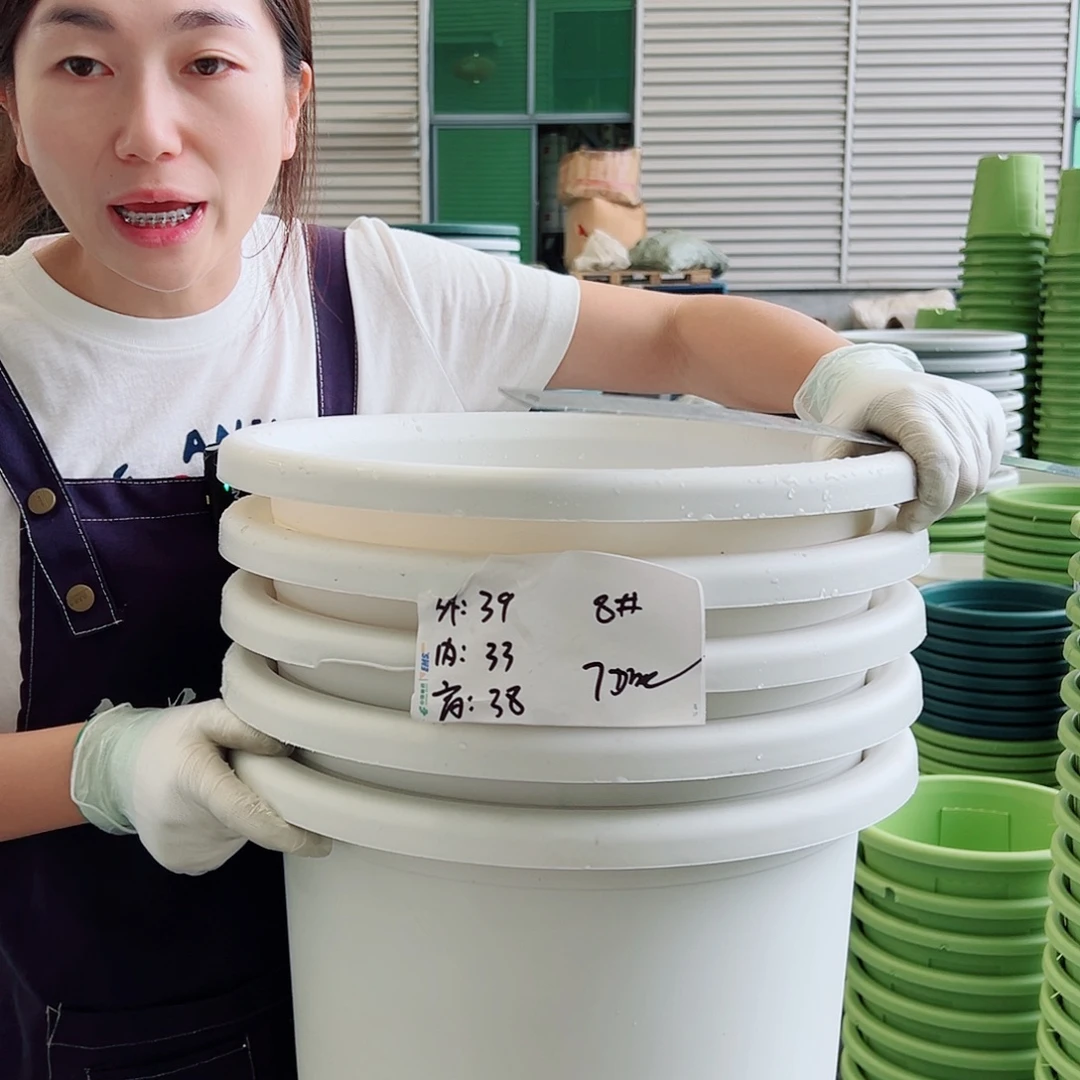 瑕疵四季盆8#白色5个无托