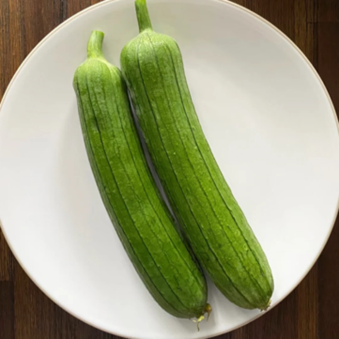 常熟特色筒管玉丝瓜油皮丝瓜果肉细腻口感肥美顺丰包邮