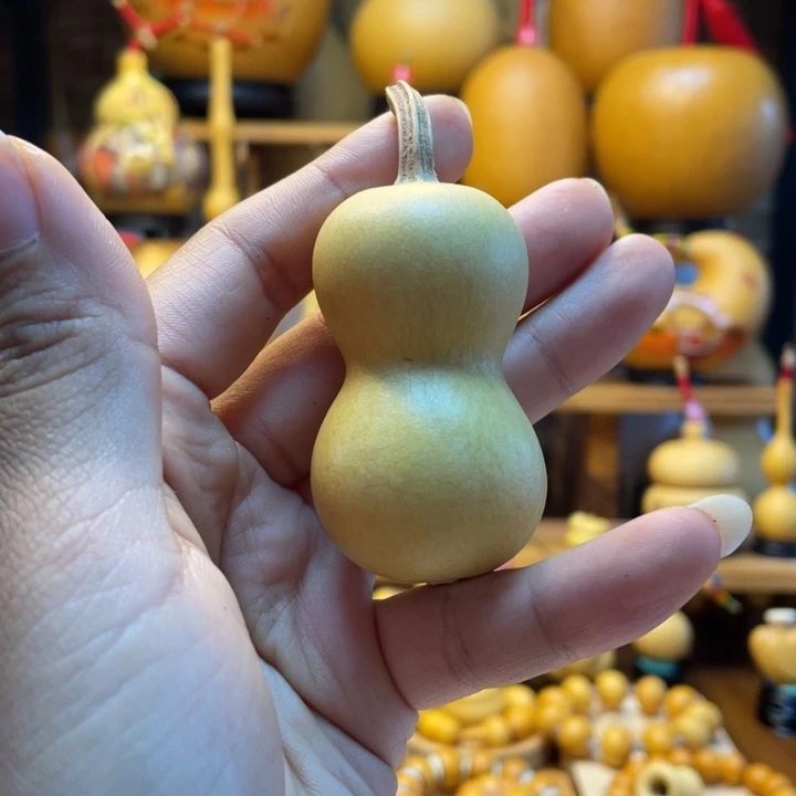 风***浅天然葫芦自然生长