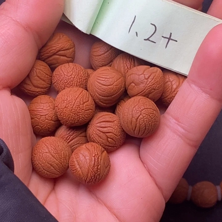 秦岭龙纹桃核20颗