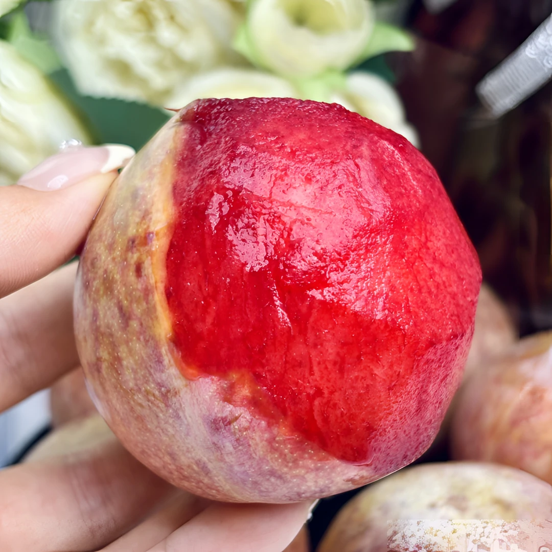 新疆杏李恐龙蛋甜度高微酸风味浓郁果肉细腻冷藏后更好吃顺丰空运