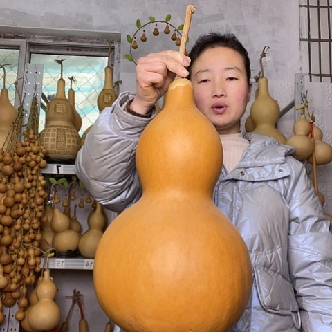 白****车天然植物葫芦文玩