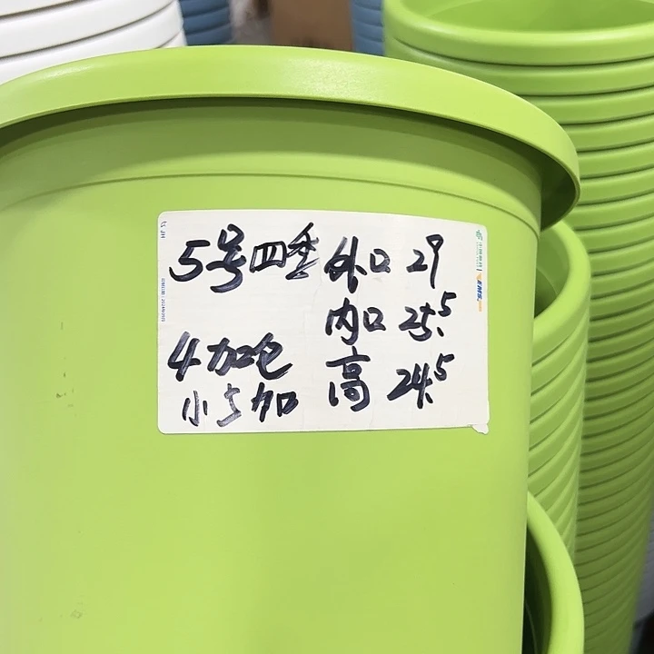 特价5号口29高24.5白色5只无托