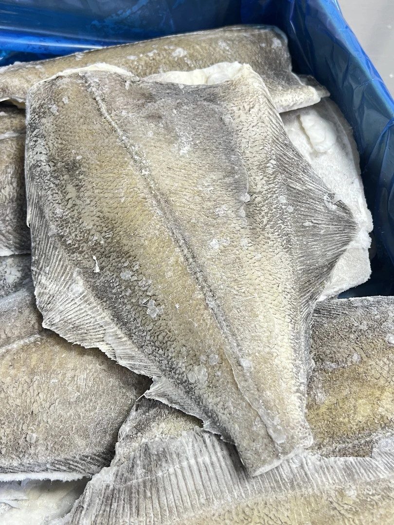 【3号】 深海鲽鱼身  现称现发