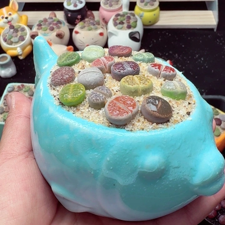 零下地区拍保温箱7016