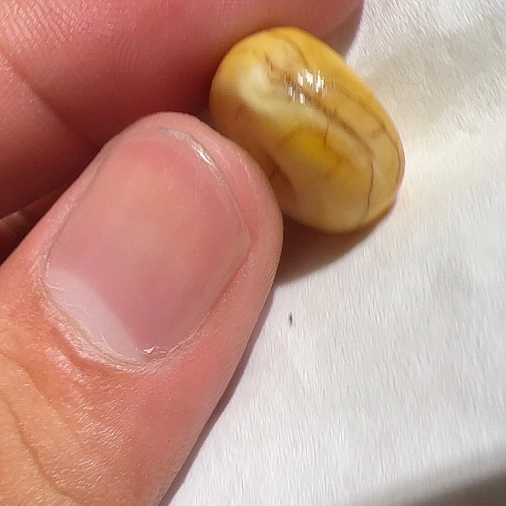 玻璃颈饰在这里的