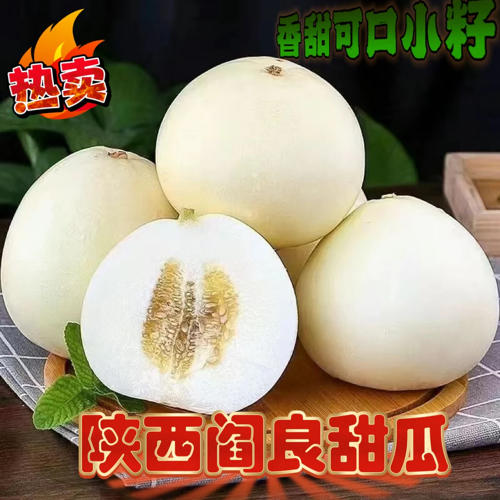 陕西阎良头茬甜瓜新鲜软糯香甜当季应季水果小籽瓜香瓜现摘现发
