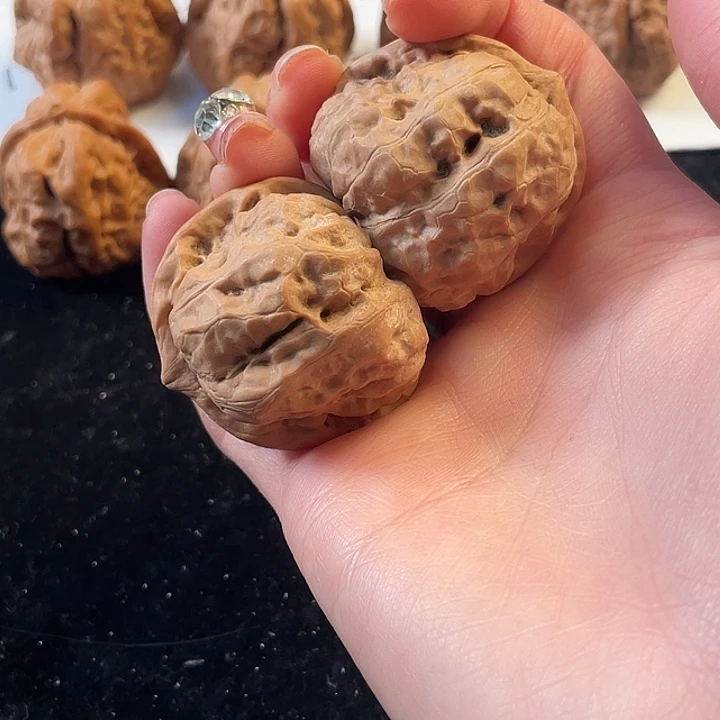 大叶紫檀（黑酸枝木类）100米