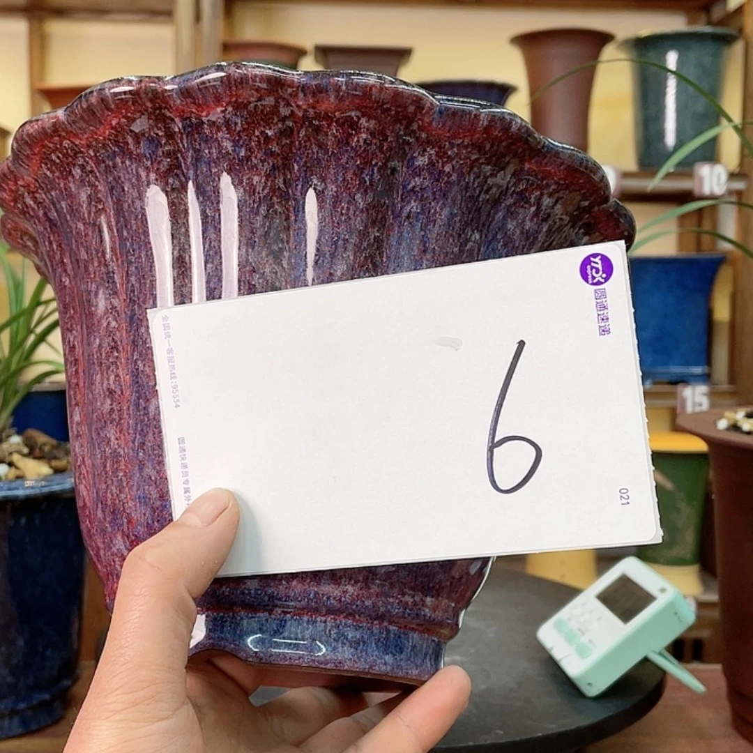 【闪购商品】紫砂花盆l****6兰花425555557855558588