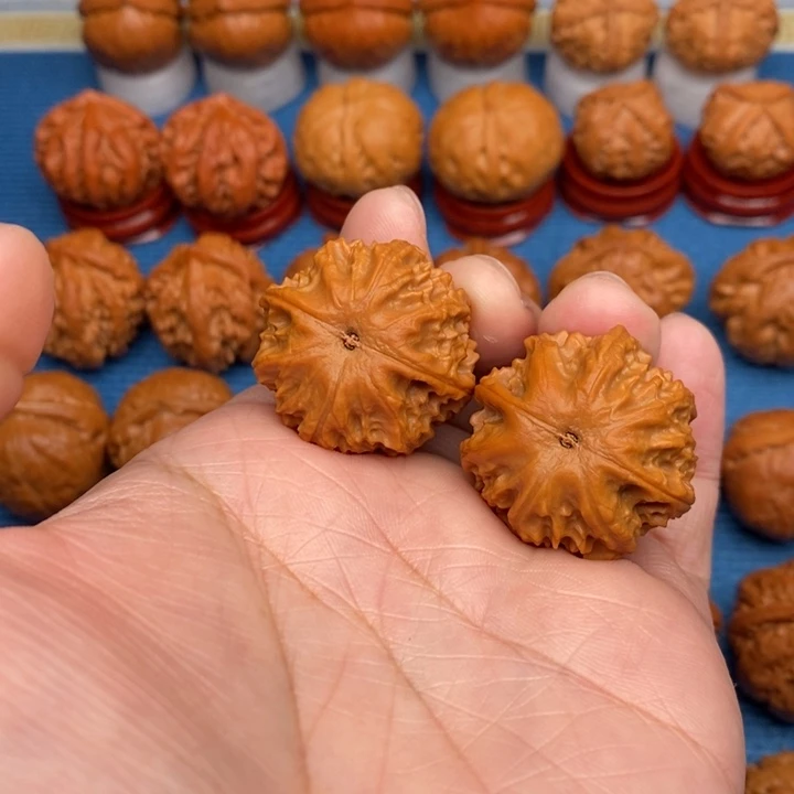 把件文玩核桃蚂蚁粗筋