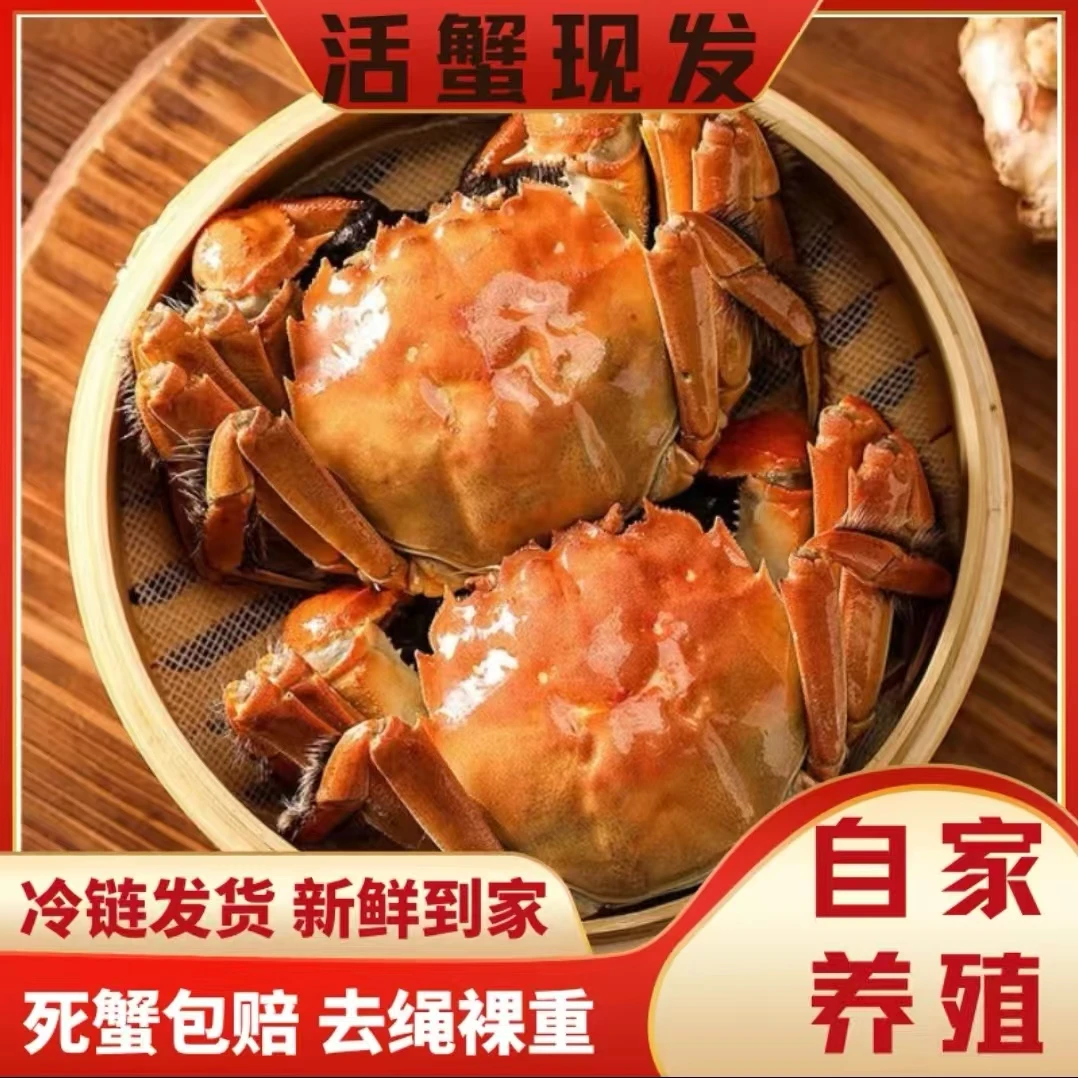 【金标活蟹】全母8只装（2.2-2.5两）洪泽湖大闸蟹礼盒装8只/10只