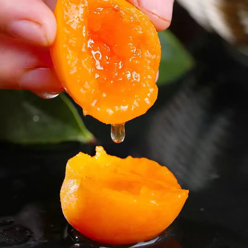 【新疆吊干杏】007 正宗新疆吊杆杏 新鲜应季水果 新疆吊干杏新疆维吾尔自治区