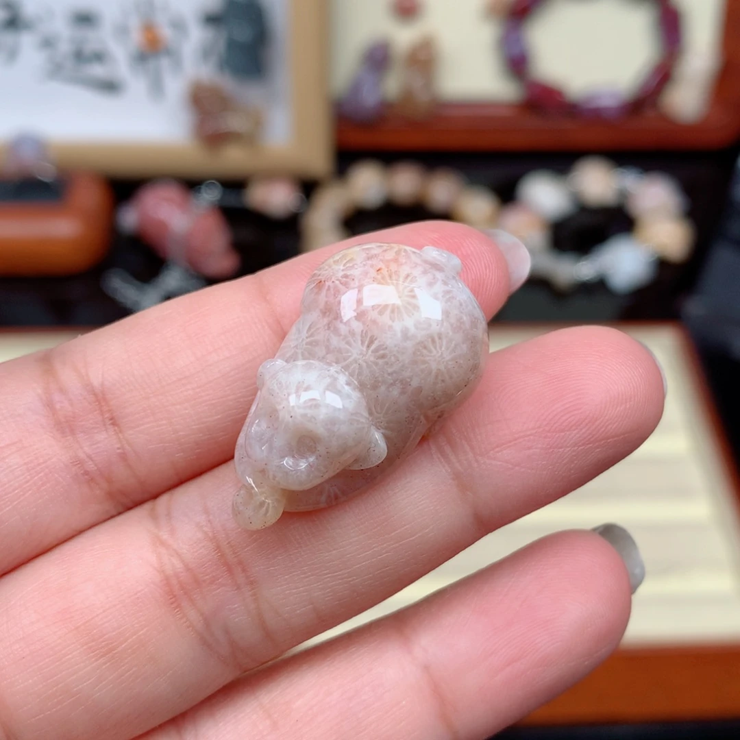 硅化玉珊瑚玉未镶嵌