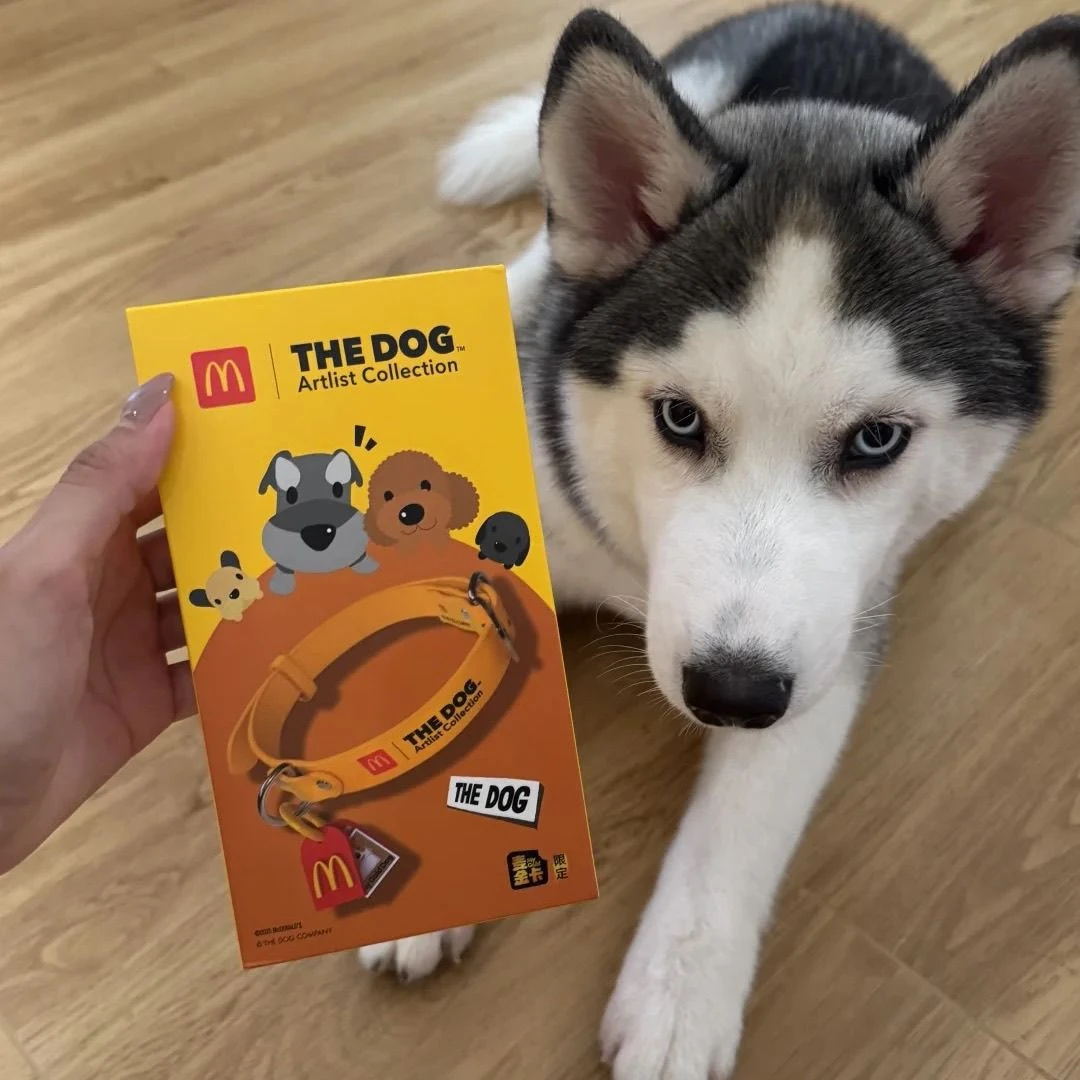 新款麦当劳My Goid Dog哈基米小狗项圈可爱麦门项链收藏礼物