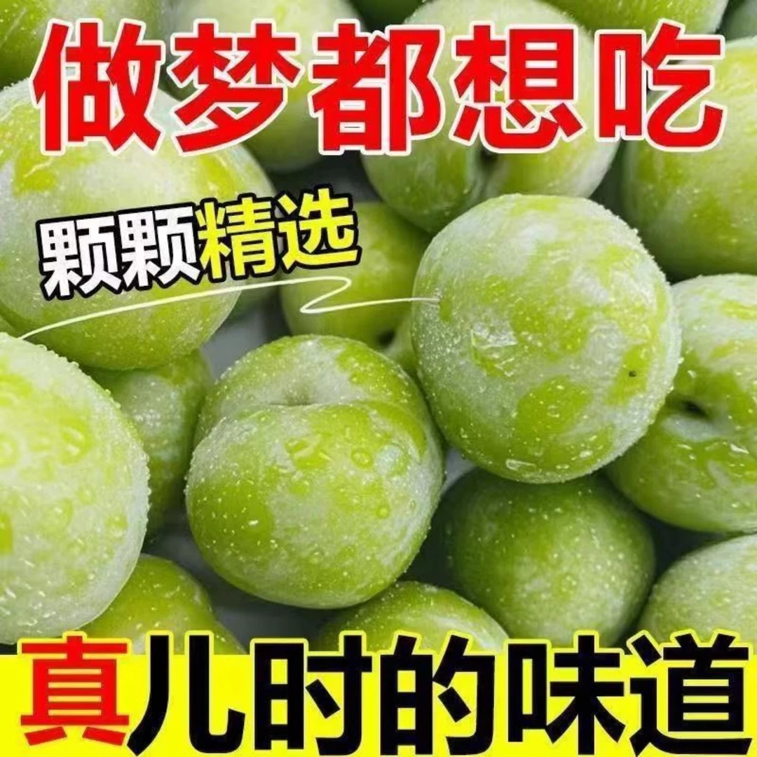 【你心心念念的家乡味来了】正宗新鲜青脆李应季水果脱骨脆甜李子