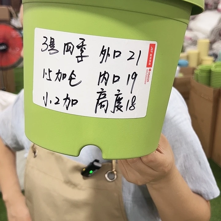 特价3号四季口21高18果绿无托10个