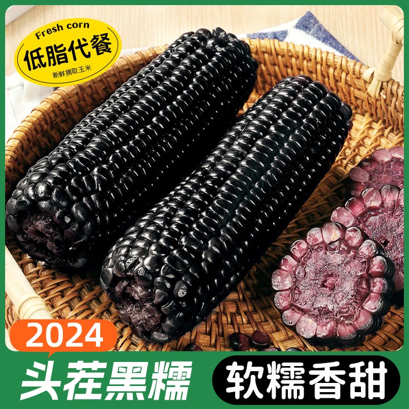 山西黑糯玉米【8根大棒】280g软糯香黏非转基因富含花青素-刘