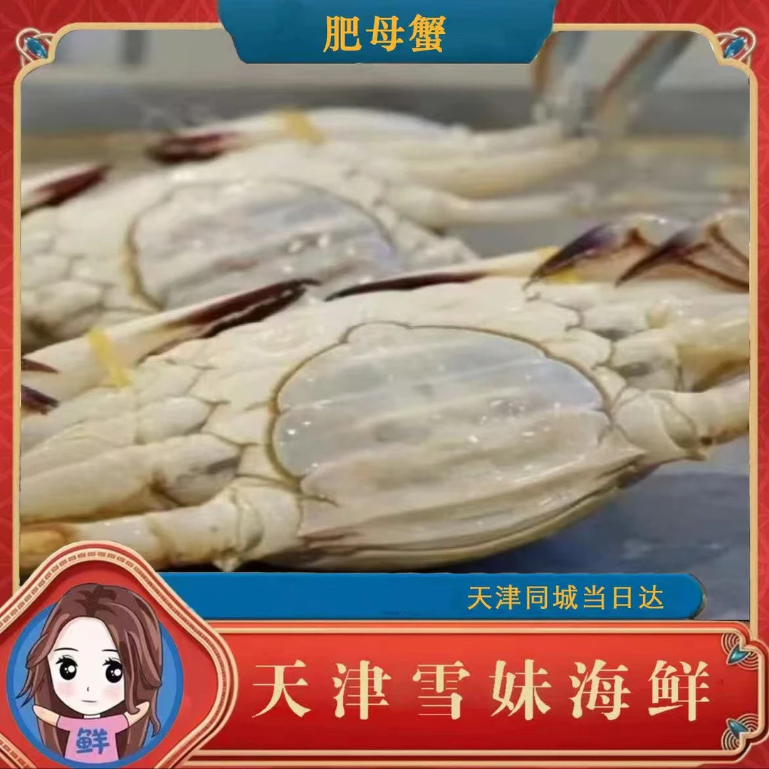 【保鲜不保活】精品肉母蟹  2-5斤 ，单只3-5两