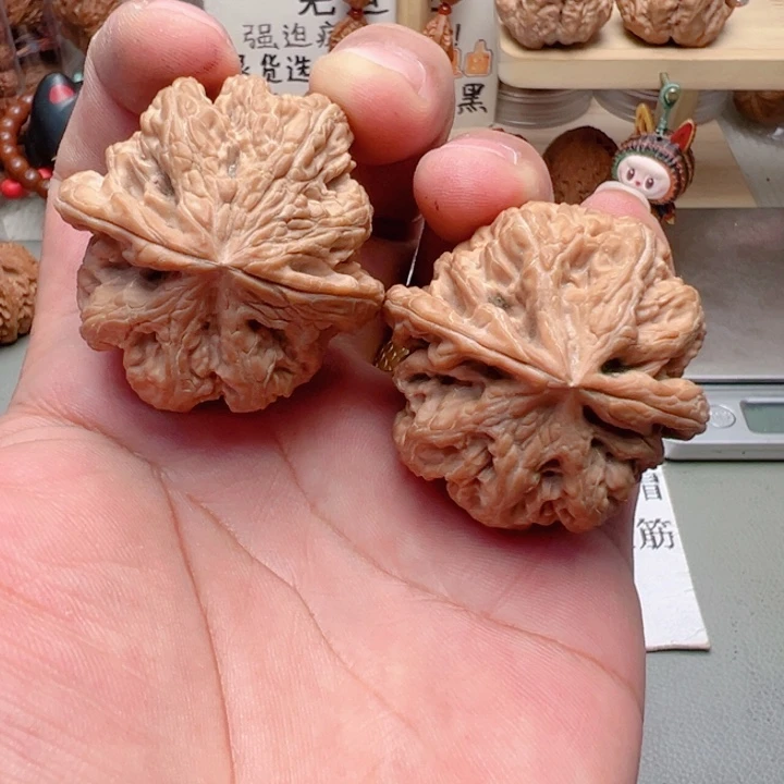 文玩核桃吊坠45尺全品大粗筋