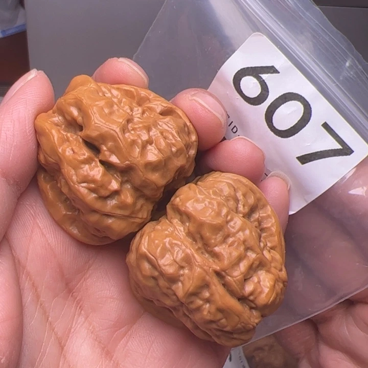 核桃38边43肚607号四开背