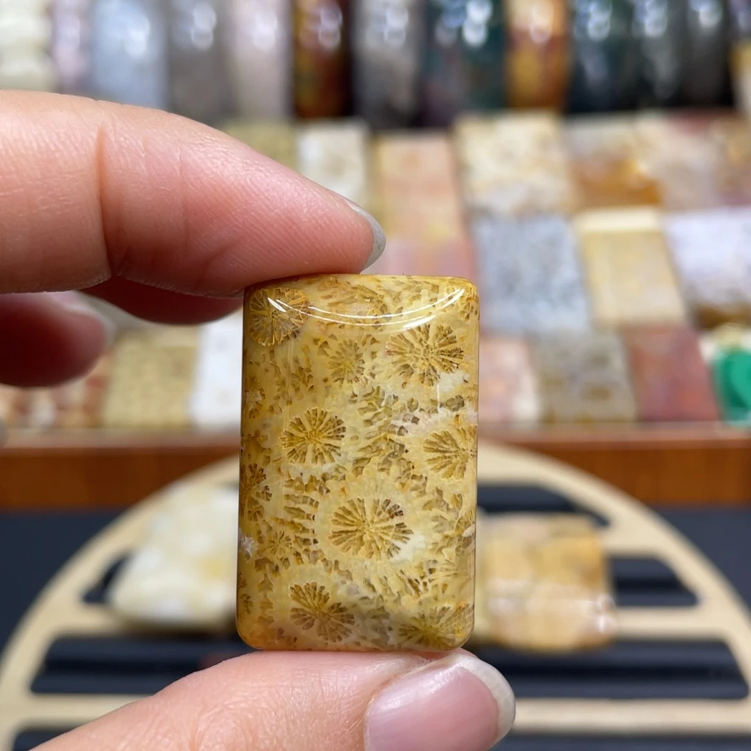 硅化玉未镶嵌颈饰k58