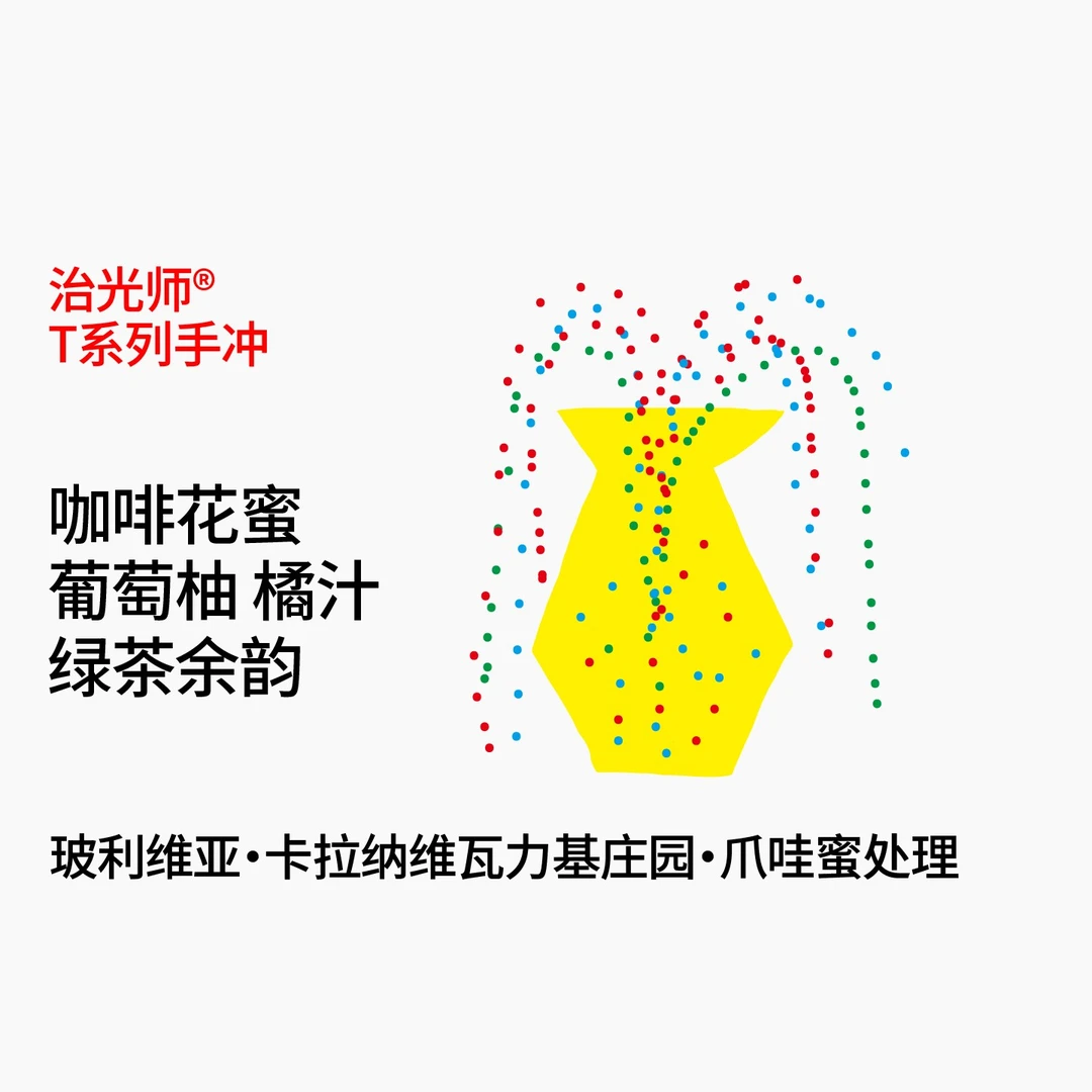 【玻利维亚手冲豆】治光师精品手冲咖啡豆单品豆100g