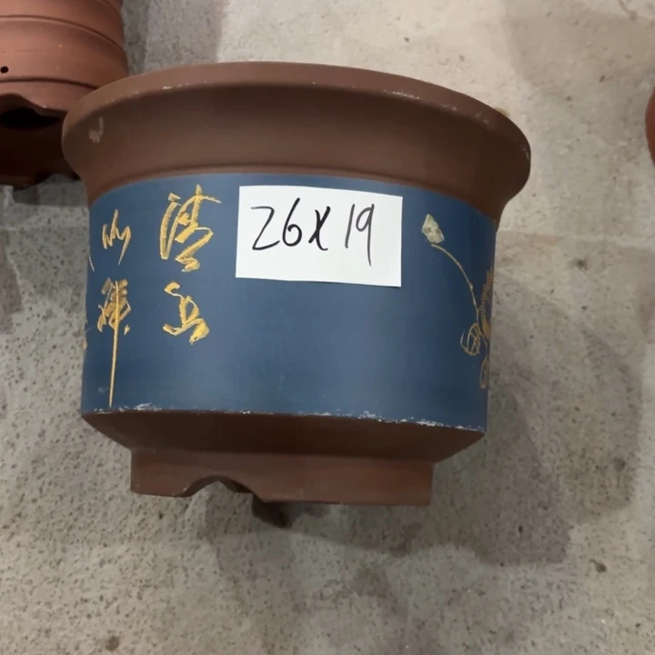 花盆紫砂紫砂的花
