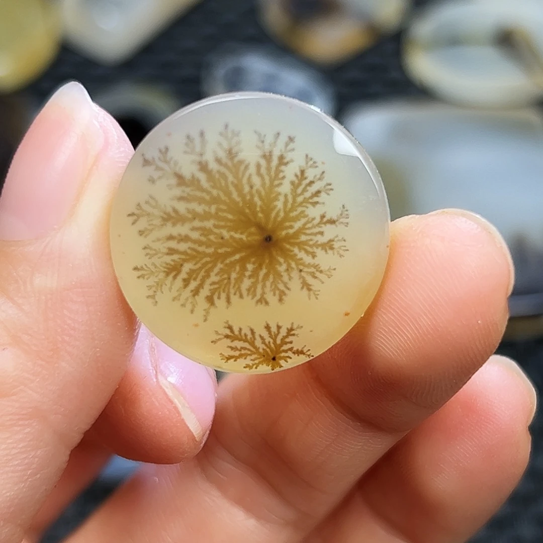 玛瑙/玉髓未镶嵌珠宝半成品