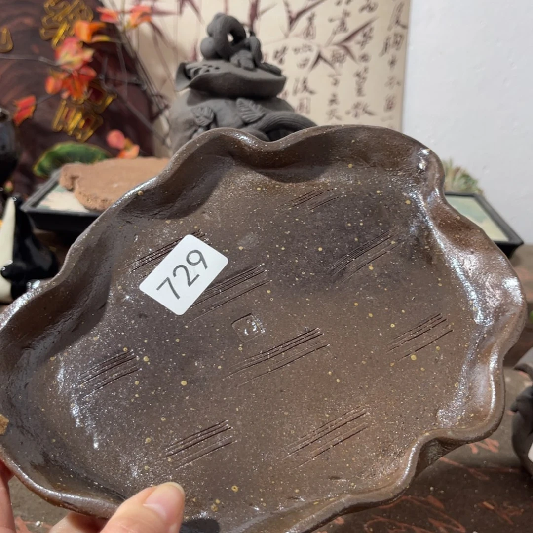 木村信弘柴烧保平