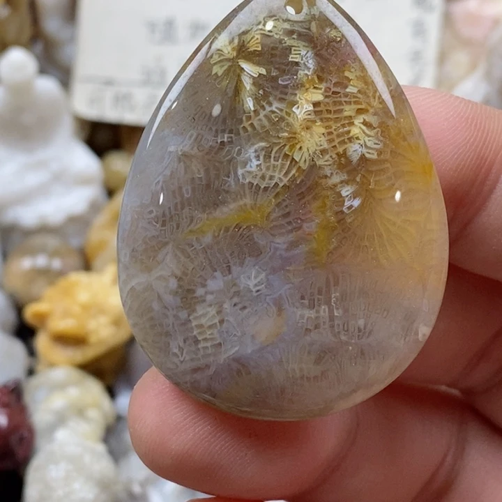 颈饰未镶嵌硅化珊瑚（珊瑚玉）