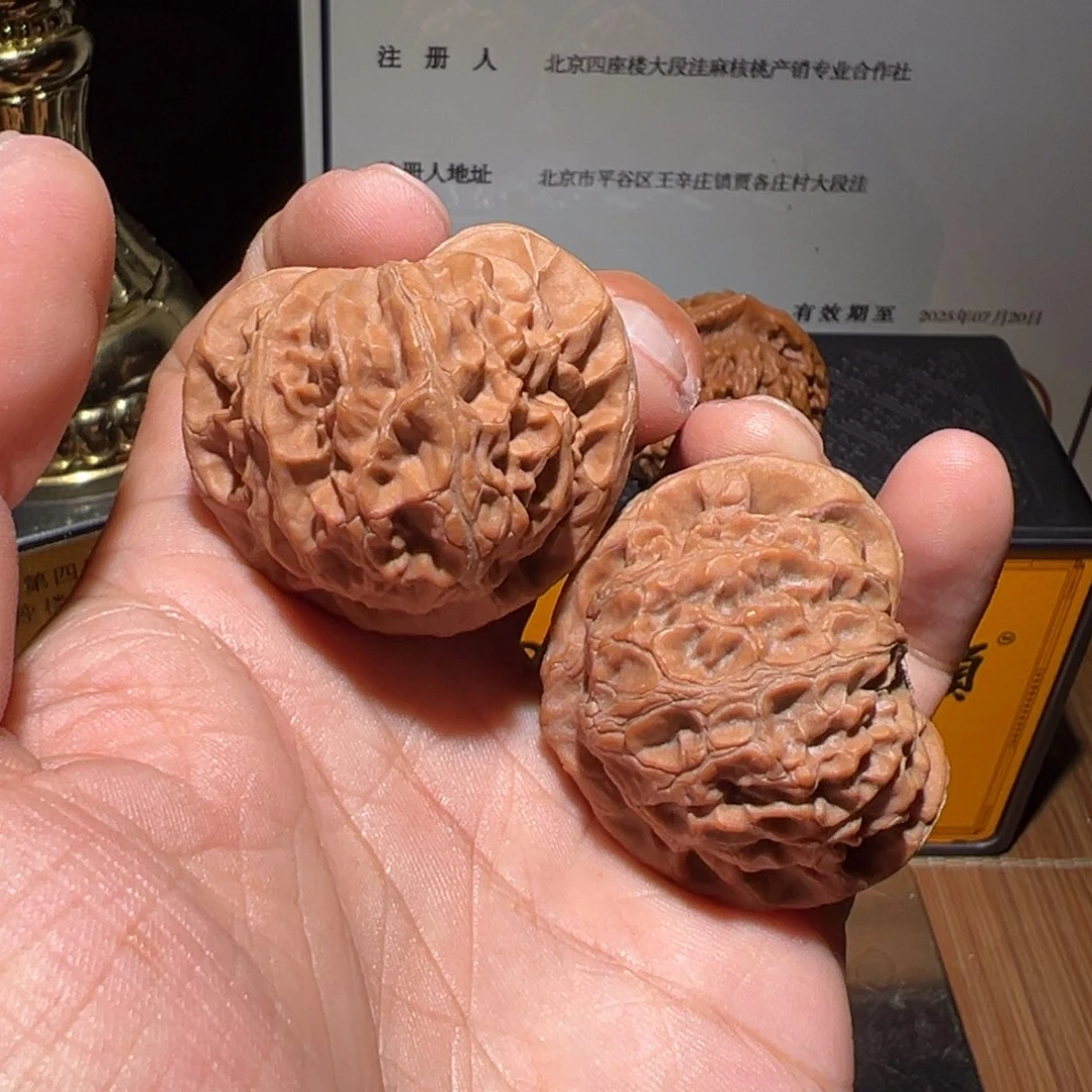 把件文玩核桃原桩老树宫灯