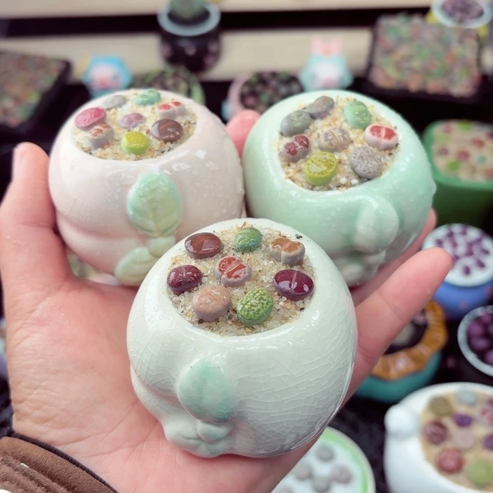 3006零下地区记得拍保温箱