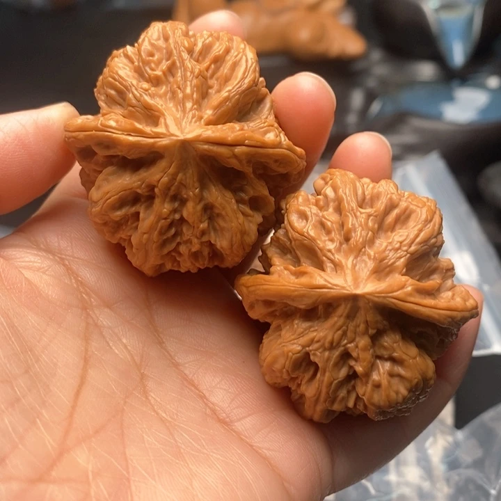 文玩核桃把件粗筋44尺
